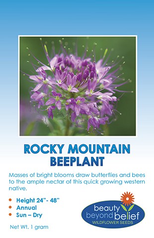 Rocky Mountain Beeplant