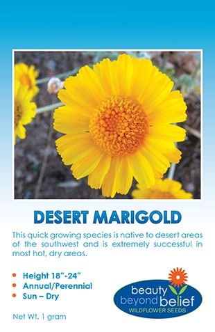 Desert Marigold Wildflower Seed Packet