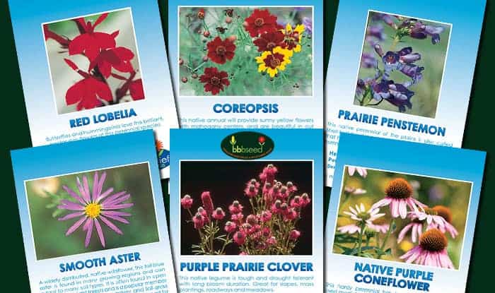 Great Plains Prairie Collection