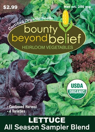 All Season Sampler Lettuce Blend