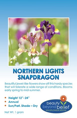 Northern Lights Snapdragon