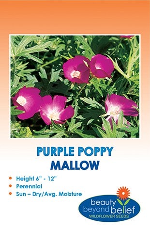 Purple Poppy Mallow Wildflower Seeds