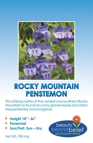 Rocky Mountain Penstemon