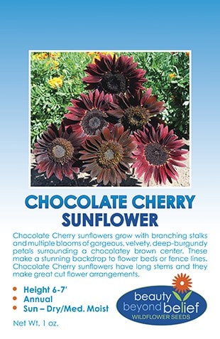 Chocolate Cherry Sunflower Seed Pack