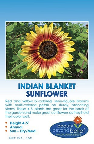 Indian Blanket sunflower seeds.