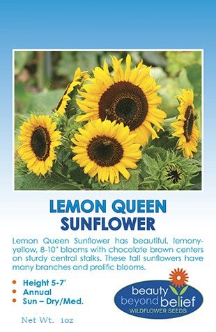 Lemon Queen sunflower seed packet.