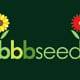 BBB Seed Logo