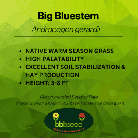 Big Bluestem label