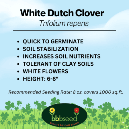 Label on a bag of White Dutch Clover seed.