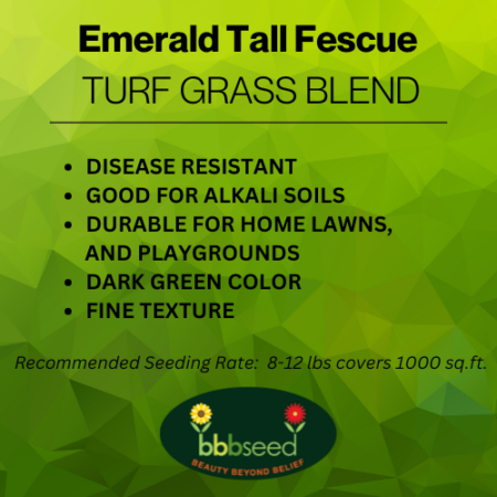 Label for emerald tall fescue turf grass mix