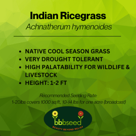 Indian ricegrass label