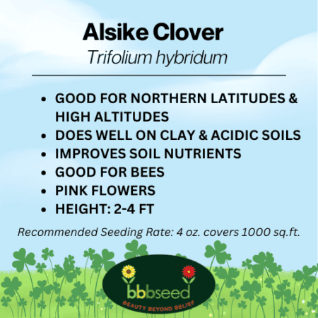 Label for a bag of Alsike Clover seed.