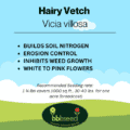 image of Hairy vetch label