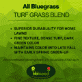 Label for all bluegrass turf grass mix
