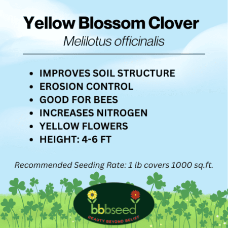 Image of yellow blossom clover label