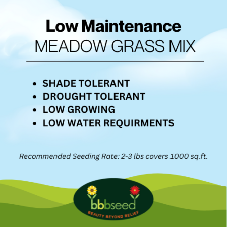 low maintenance grass seed label