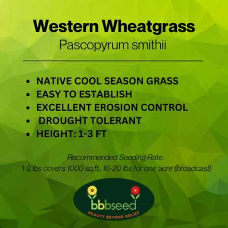 Western wheatgrass label