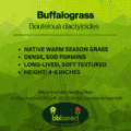buffalograss label
