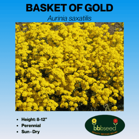 basket of gold