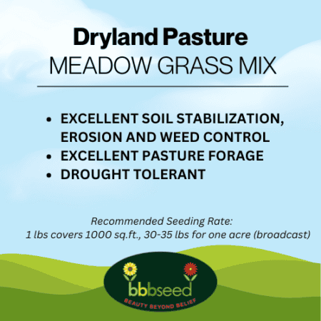 the label on a bag of Dryland Pasture grass seed mix.