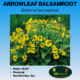 Image of arrowleaf balsamroot label