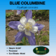 Image of blue columbine label