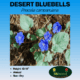 Desert Bluebells Wildflower Seeds