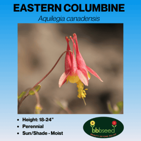 Image of eastern columbine wildflower label