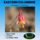 Image of eastern columbine wildflower label