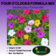 Formula mix four o' clocks label