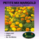 petite mix marigold