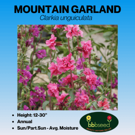 Mountain Garland