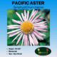 IMAGE OF PACIFIC ASTER LABEL