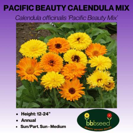 Image of pacific beauty calendula mix label