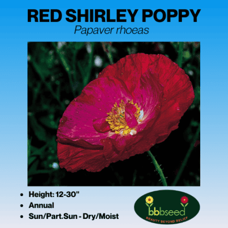 Package of Red Shirley Poppy seeds.