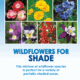 Shade Wildflower Mix