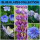 Blue blazes collection