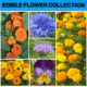 EDIBLE FLOWERS COLLECTION WILDFLWOER SEED