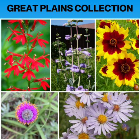 Great Plains Prairie Collection