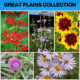 Great Plains Prairie Collection