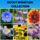 ROCKY MOUNTAIN COLLECTION