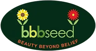 BBB Seed