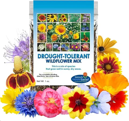 Drought Tolerant Mix