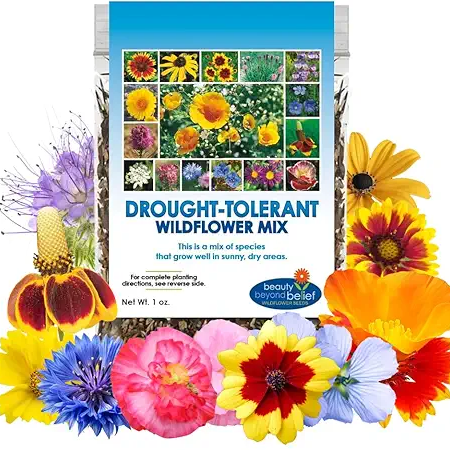 Drought Tolerant Mix