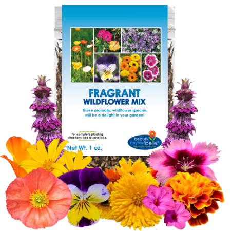 Fragrant Wildflower Mix