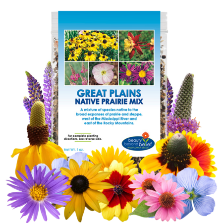 Great Plains Prairie