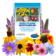 Great Plains Prairie