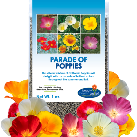 Parade of Poppies