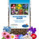 Shade wildflower mix
