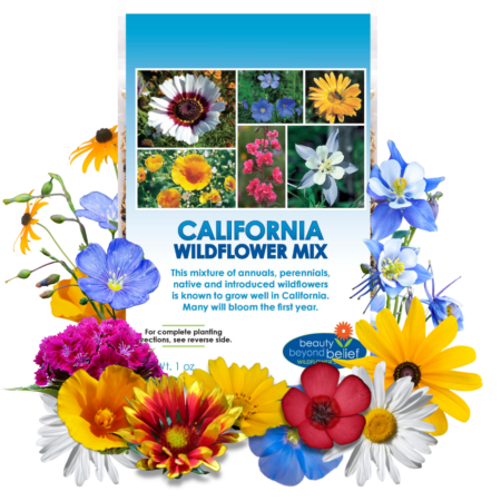 California Wildflower Mix